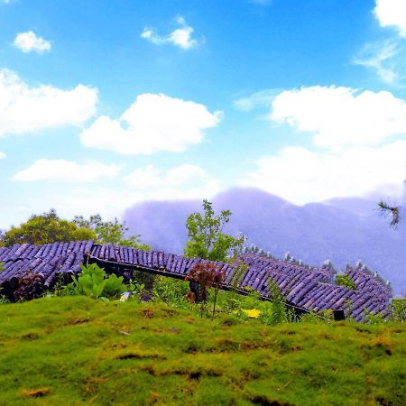 Mimosa Villa Tam Dao Ngoại thất bức ảnh